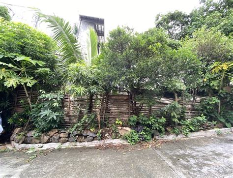 Sqm Residential Lot Sale Antipolo Rizal Property