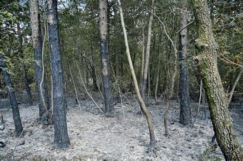 Po Ar Na Krasu Pod Nadzorom Pono I Bo Na Terenu Gasilcev N