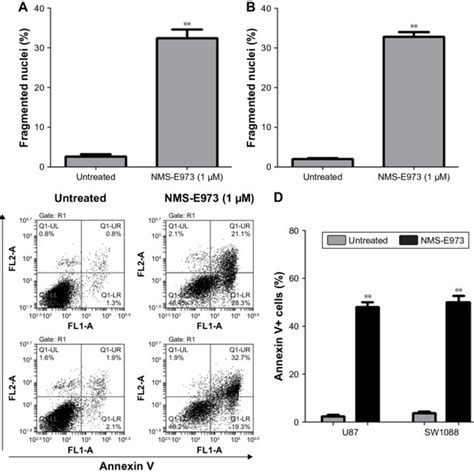 NMs E973 Induces Apoptosis In Glioblastoma Cells Notes A U87 And