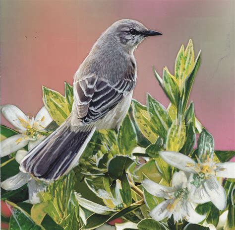 State Bird Florida Poster Print - Kevin Daniel - Posterazzi