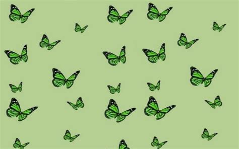 Re- Color butterflies Aesthetic desktop wallpaper | Aesthetic desktop ...