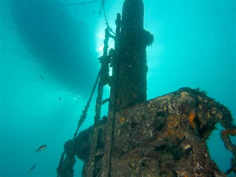 Dive City Crikvenica Alles Wat U Moet Weten Voordat Je Gaat Met