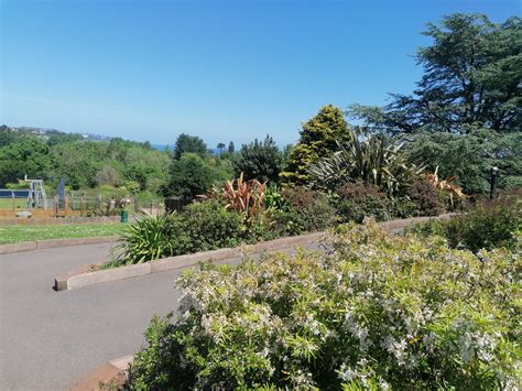 Families are demanding better St Patrick's cemetery grounds keeping 5