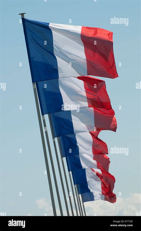 tricolor french  res stock photography  images alamy
