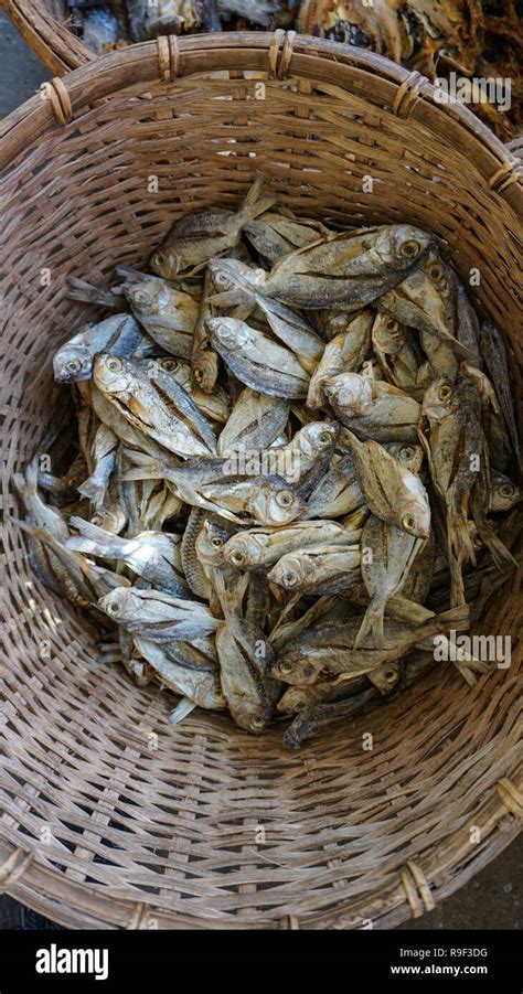 Fish palengke hi-res stock photography and images - Alamy