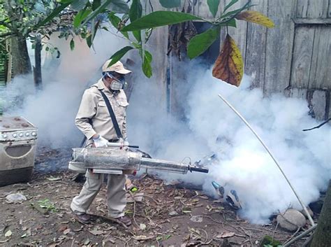 Sector Salud Realizar Campa A De Fumigaci N Contra El Dengue El