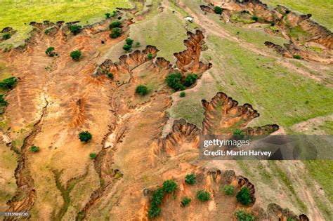 Soil Erosion By Animals