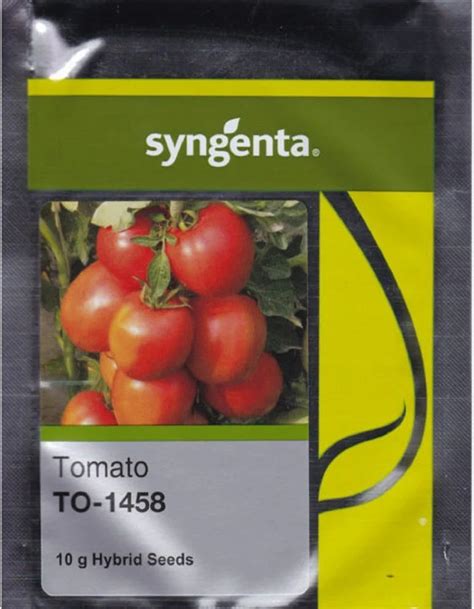 Natural Green Vegetable Seeds Syngenta Rijk Zwaan East Wast