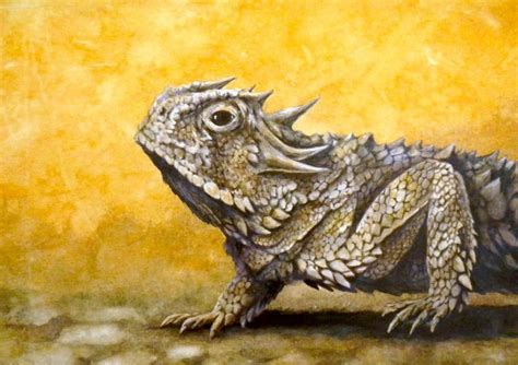 Horned Toad Drawing At Isabelle Pearce Blog