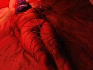 Naked Sasha Hails In See The Sea