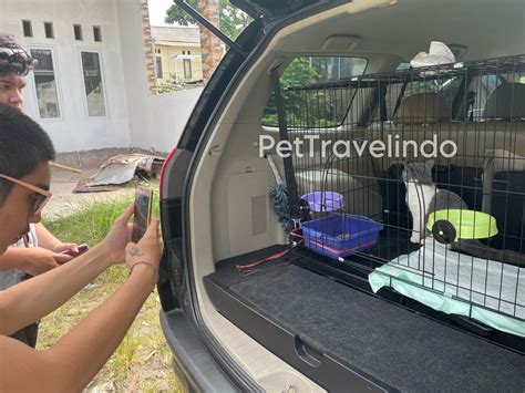 Our Customer | Pet Travel Indo