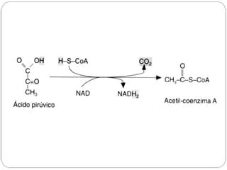 OXIDACION Y REDUCCION PPT