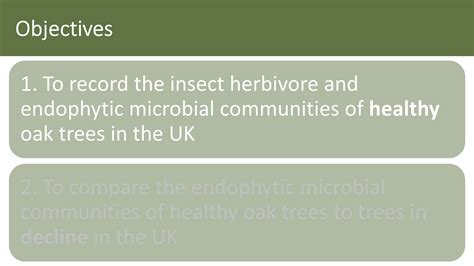 Evaluating Impact of Disease on Microbial and Insect Populations