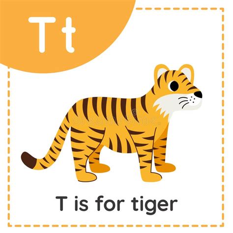 Flashcard Tiger Stock Illustrations 93 Flashcard Tiger Stock