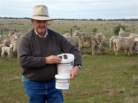 Common questions about fox baiting - PestSmart