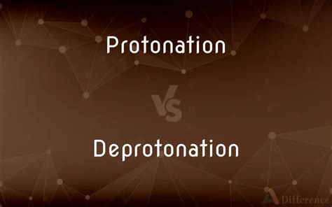protonation  deprotonation whats  difference