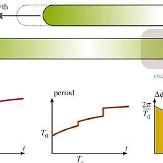 illustration   idealized psm  discrete system  psm