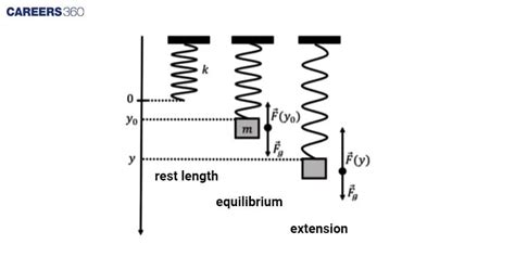 understand harmonic motion  differential equations perspective