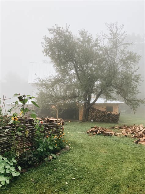 Early fall in my backyard in Vermont : r/CozyPlaces