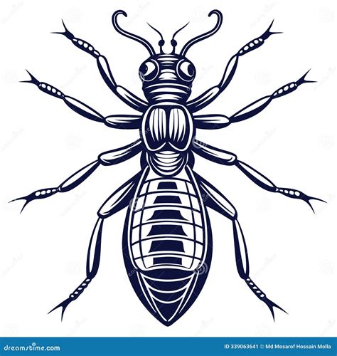 Termite Threat: Vector Illustrations Of Wood-Destroying Insects Royalty