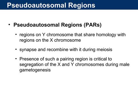 Sex Determination And Sex Chromosomes PPT