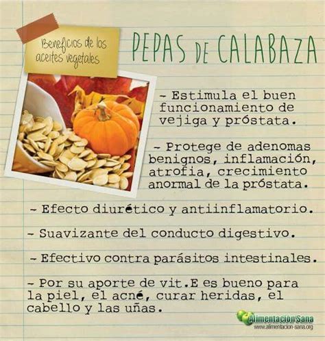 Lista Foto Cuanto Tarda En Germinar Una Semilla De Calabaza Cena