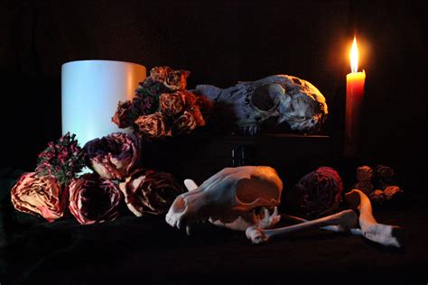 “Celebration” : pagan