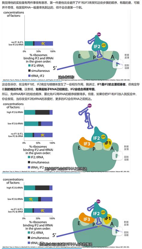 Mit 分子生物学 Part3 34 Experimental Ordering Of Initiation Events 哔哩哔哩