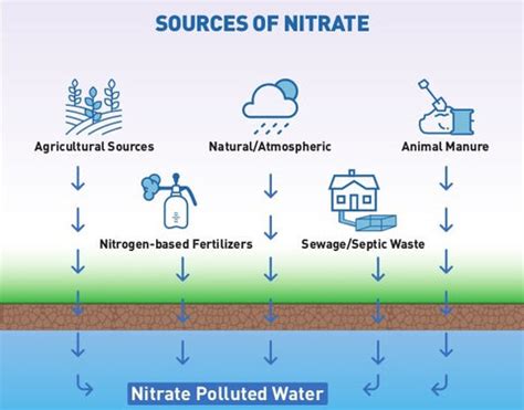 What You Need to Know About Nitrates and Nitrites in Your Water