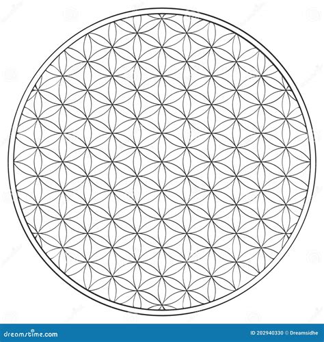 Ancient Secret Of Flower Of Life 11