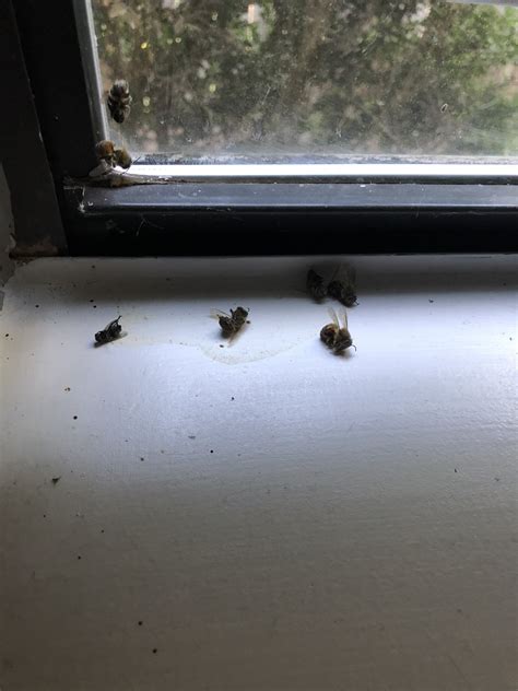 tonia ransom on Twitter: "So a few years ago, we had our house