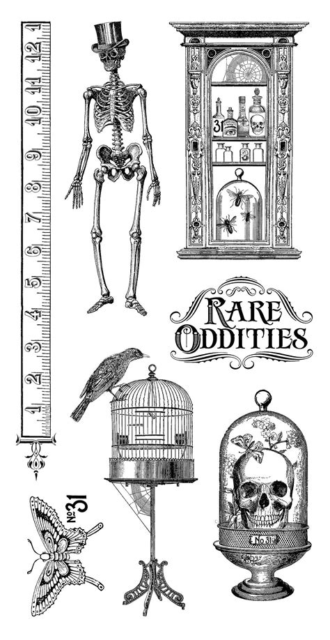 Graphic 45 Rare Oddities Collection Cling Stamps Set 1 IC0335 | Graphic