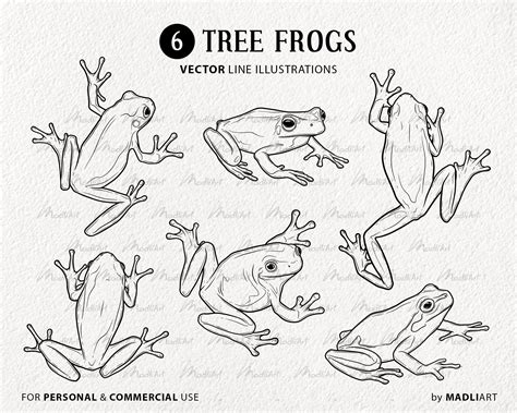 Tree Frogs Svg Clipart Bundle Frog Vector Drawings Green Etsy