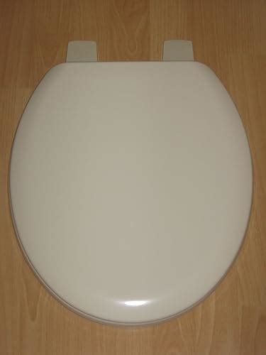 Bemis 5000 Champagne Coloured Toilet Seat Uk Kitchen And Home