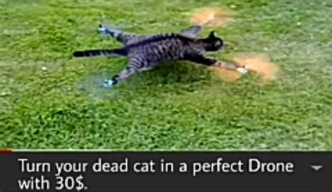 melodie sus crying pin by EchoNotchSidechain14311 - Meme Sound Effect ...