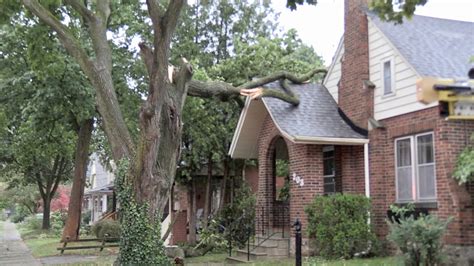 Storm damage in London region | CTV News