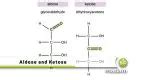 Difference Between Aldose and Ketose - biomadam