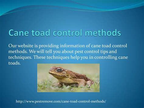 Cane Toad Control Methods PPT