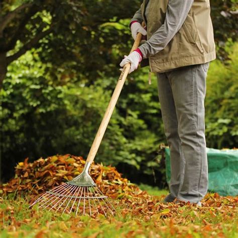 Yard Clean Up Excellent Tips On How To Clean Your Yard After A Storm