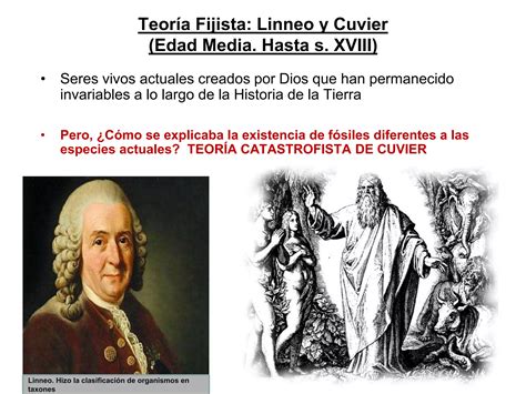 Fijismo Y Precursores Del Evolucionismo Ppt