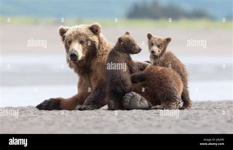 Intim Werden Fotos Und Bildmaterial In Hoher Auflösung Alamy