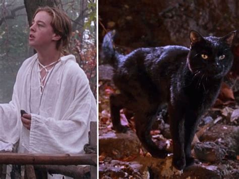 hocus pocus cat costume 9