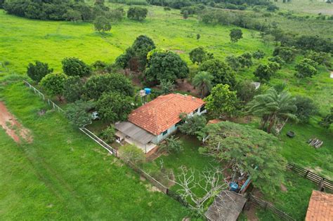 Fazendas Em Ms A Venda - FAZENDAS À VENDA EM RIO PARDO MS 103 HECTARES (DUPLA APTIDÃO) - 3035