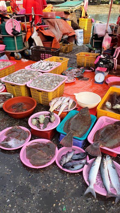 Sorae Pogu Traditional Fish Market Working Hours Activities