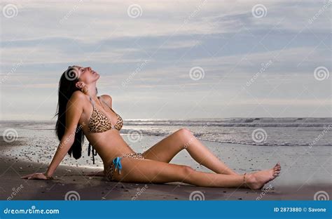 Leopard Bikini Stock Photography CartoonDealer 2873882