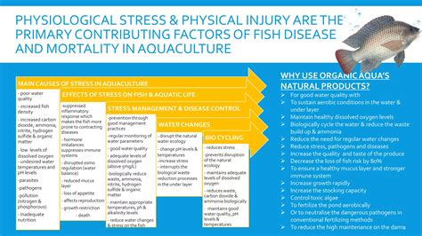 ORGANIC AQUA - AQUACULTURE | PPT