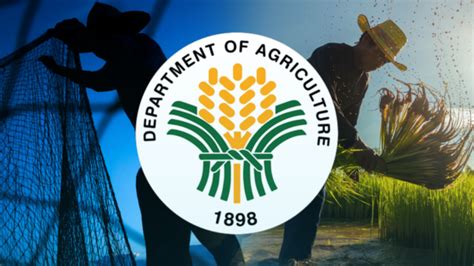 da rice import ban good  northern mindanao farmers