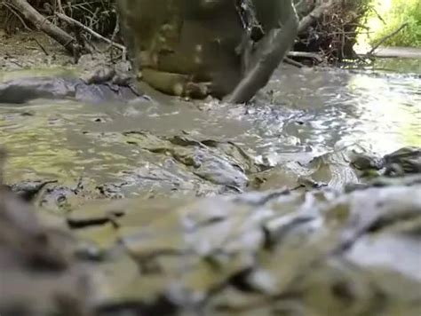 Mud Fuck Mud Fuck ThisVid