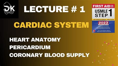 Heart Anatomy From First Aid Usmle Step 1 Youtube