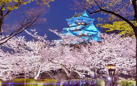 Osaka Castle In Bloom A Stunning Spring Hd Wallpaper By Sean Pavone